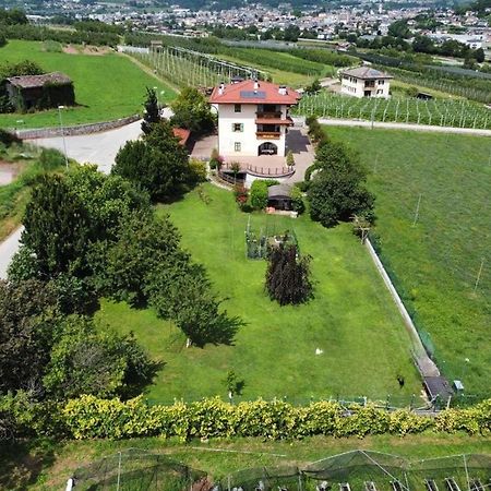 Il Gallo Pergine Valsugana Buitenkant foto