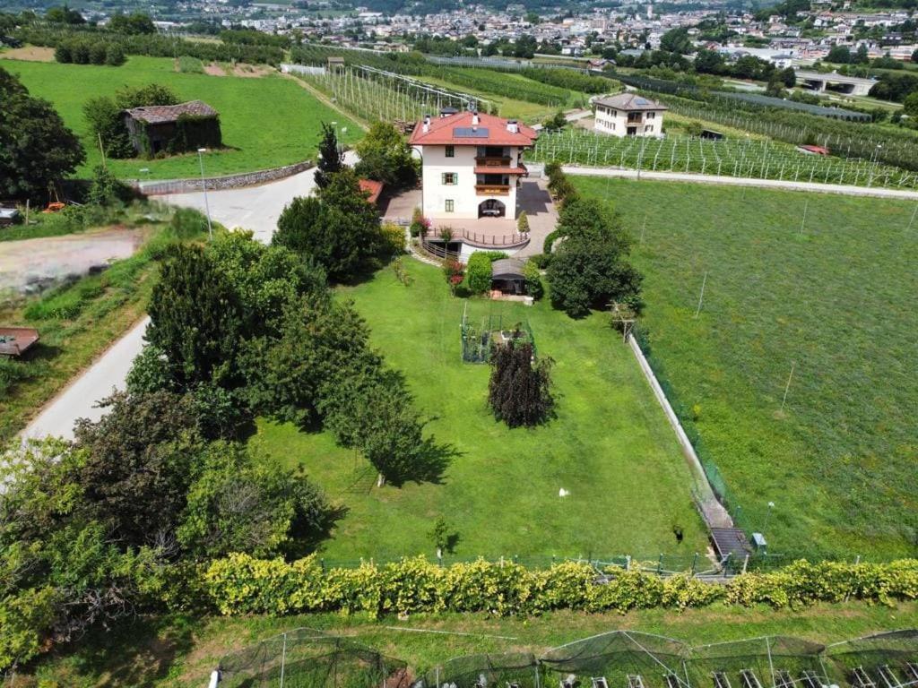 Il Gallo Pergine Valsugana Buitenkant foto