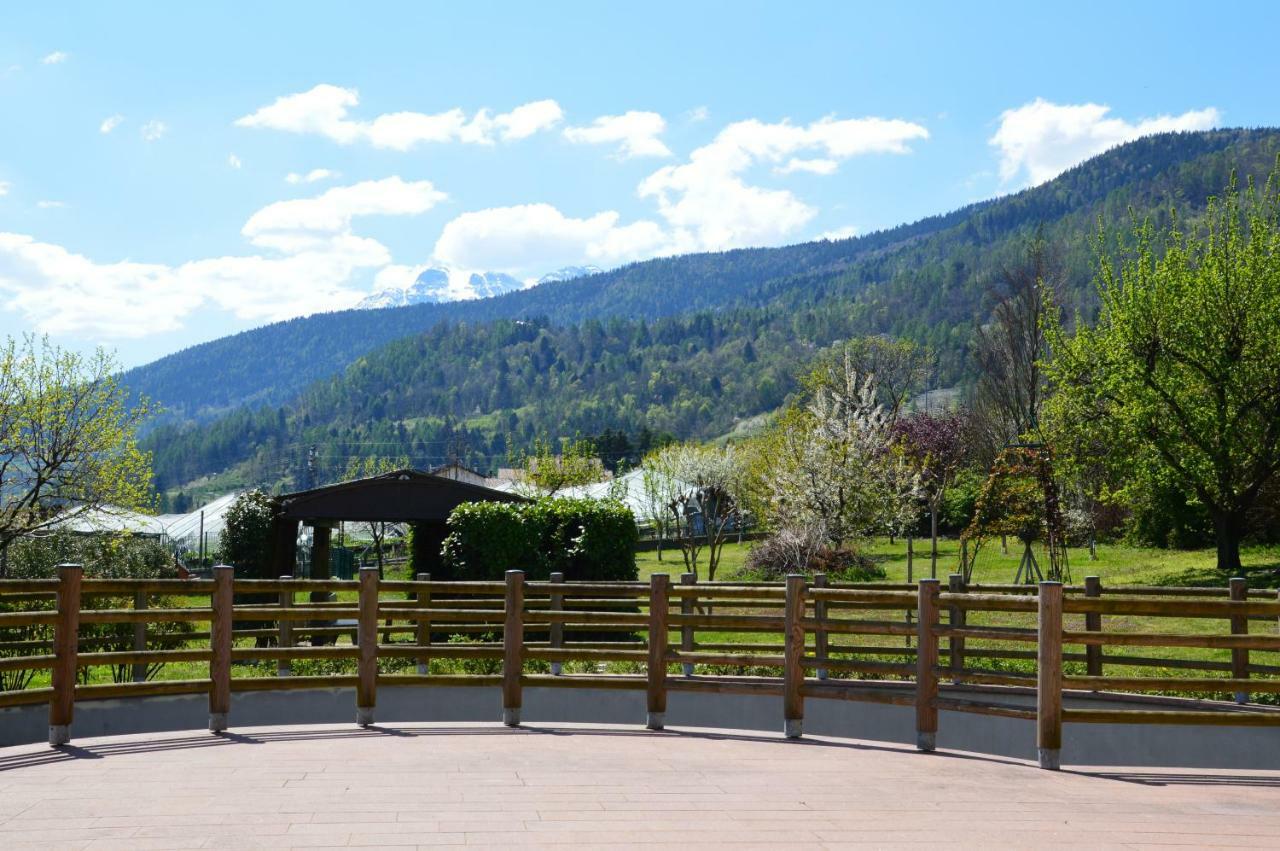 Il Gallo Pergine Valsugana Buitenkant foto