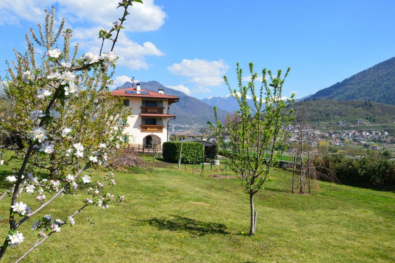 Il Gallo Pergine Valsugana Buitenkant foto